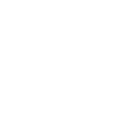 Seta